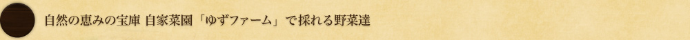 自然の恵みの宝庫 自家菜園「ゆずファーム」で採れる野菜達